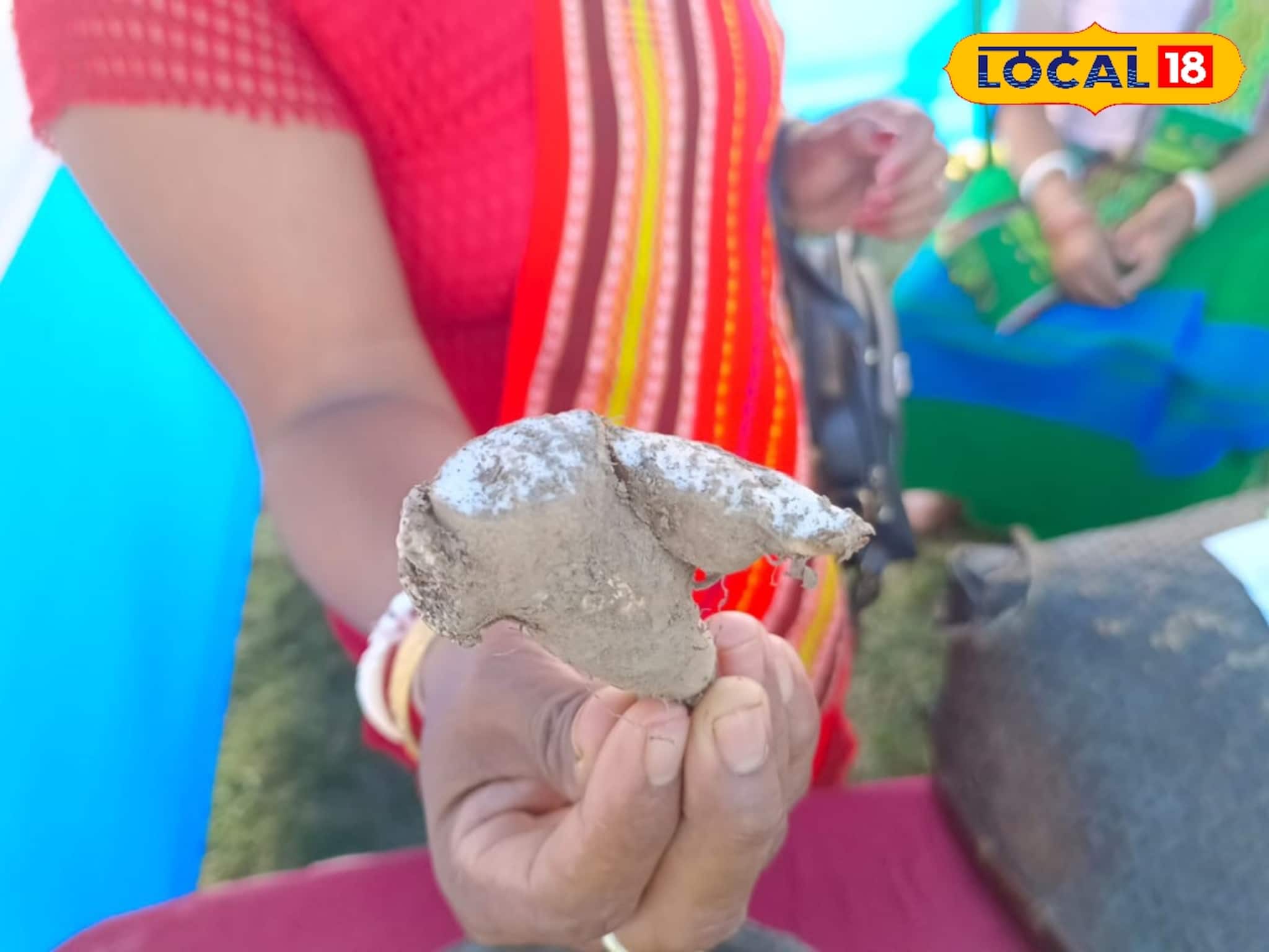 দেখতে ‘বিশ্রী’, জাতেরও নয়! ভিটামিন সি ও আয়রনে ঠাসা, এই আলু খাননি হলফ করে বলতে পারি দেখতে ‘বিশ্রী’, জাতেরও নয়! ভিটামিন সি ও আয়রনে ঠাসা, এই আলু খাননি হলফ করে বলতে পারি