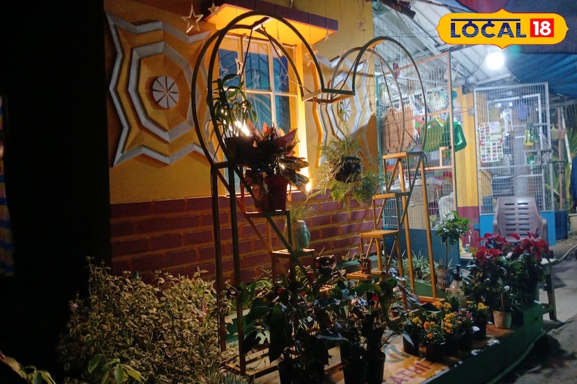 *ভাবছেন তো কোথায় পাবেন এইসব গাছ? বর্ধমানের ঘোড়দৌরচটি এলাকার 'সবুজ সাথী' নার্সারিতে আপনি পাবেন এই সব ধরনের গাছের পাশাপাশি বিভিন্ন ধরনের ফুল গাছ ও ফলের গাছ। পাশাপাশি পেয়ে যাবেন আপনার বাগান সাজানোর নানা সামগ্রী।