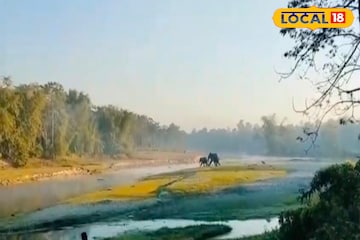 শীতে রোদ পোহানোই কাল হল! ঝাঁপে আটকে পড়ল বুনোহাতি, শালবাড়িতে তীব্র চাঞ্চল্য শীতে রোদ পোহানোই কাল হল! ঝাঁপে আটকে পড়ল বুনোহাতি, শালবাড়িতে তীব্র চাঞ্চল্য