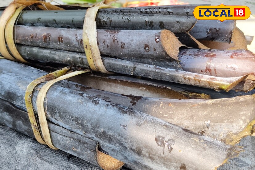 *কচুতে প্রচুর পরিমাণে ফাইবার, ফোলেট ও থায়ামিন থাকে, যা মানব শরীরে প্রয়োজনীয় উপাদান। কচুশাকে প্রচুর পরিমাণে ফাইবার থাকে। যার ফলে, রক্তে কোলেস্টেরল কম হয়। বিশেষজ্ঞরা বলছেন, নিয়মিত কচু খেলে কোলন ক্যানসার ও ব্রেস্ট ক্যানসারের ঝুঁকি কমে যায়।