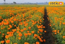 Money Making Tips: সারাবছর মেলে পুজোয় লাগে এই ফুল, বিঘায় লক্ষ টাকা আয়! রক্ত গাঁদা চাষে বিপুল লাভ