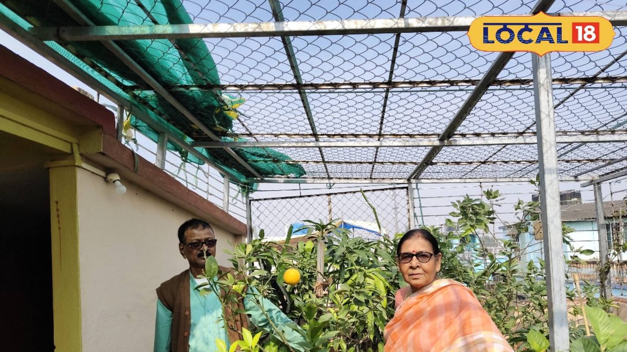 এক টুকরো 'সবুজ'-ই আজ ভরসা, মুহূর্তে বদলে দিয়েছে নিঃসন্তান মনি দম্পতির জীবন