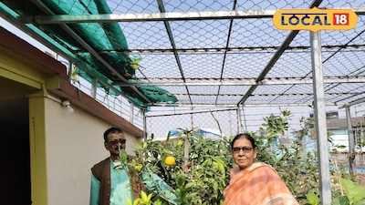 ছাদ বাগান