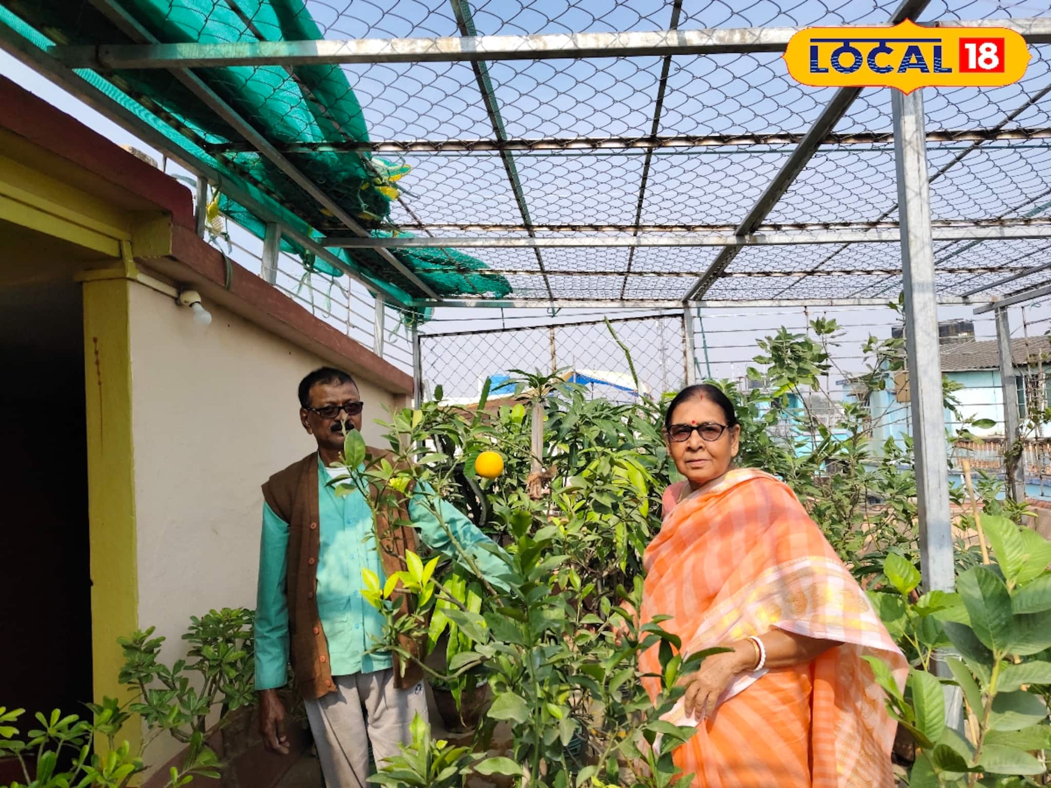 এক টুকরো 'সবুজ'-ই আজ ভরসা, মুহূর্তে বদলে দিয়েছে নিঃসন্তান মনি দম্পতির জীবন