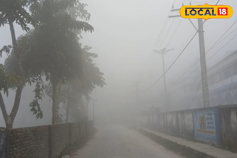 সমতলের জেলাগুলির মধ্যে শিলিগুড়ি ও জলপাইগুড়িতে দিনের তাপমাত্রা প্রায় ২৪ ডিগ্রি সেলসিয়াস রেকর্ড করা হয়েছে। কোচবিহার, আলিপুরদুয়ার, মালদা, উত্তর দিনাজপুর ও দক্ষিণ দিনাজপুরে সর্বোচ্চ তাপমাত্রা প্রায় ২৩ ডিগ্রি সেলসিয়াসের কাছাকাছি রয়েছে। রাতে ও ভোরে শীত অনুভূত হলেও দিনে তুলনামূলকভাবে আরামদায়ক আবহাওয়া থাকবে। ছবি ও তথ্য : ঋত্বিক ভট্টাচার্য