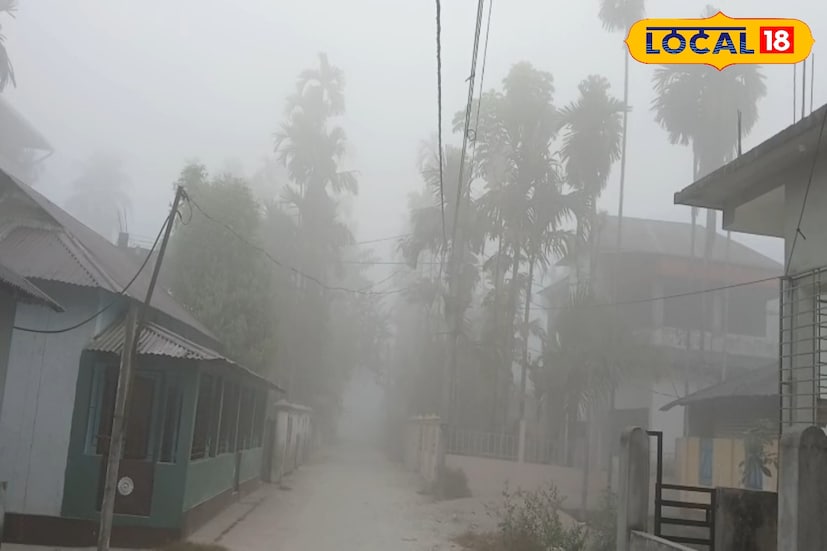 পাহাড়ি জেলা দার্জিলিং ও কালিম্পংয়ে শীতের দাপট তুলনামূলকভাবে বেশি অনুভূত হচ্ছে। দার্জিলিংয়ে দিনের সর্বোচ্চ তাপমাত্রা প্রায় ১৯ ডিগ্রি সেলসিয়াস এবং কালিম্পংয়ে তা প্রায় ২১ ডিগ্রি সেলসিয়াসের আশেপাশে ঘোরাফেরা করছে। সকালের ঠান্ডা হাওয়া ও কুয়াশা পাহাড়ে শীতের আমেজ আরও বাড়িয়ে তুলছে। ছবি ও তথ্য : ঋত্বিক ভট্টাচার্য