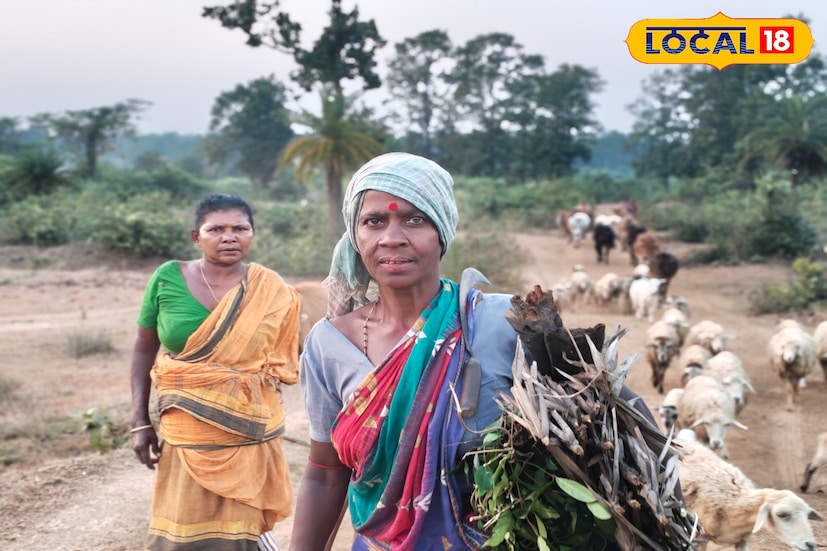 আকাশ সাধারণত পরিষ্কার থেকে আংশিক মেঘলা থাকবে। বিকেলের দিকে হালকা মেঘের আনাগোনা থাকলেও আবহাওয়ার বড় কোনও পরিবর্তনের আশঙ্কা নেই।