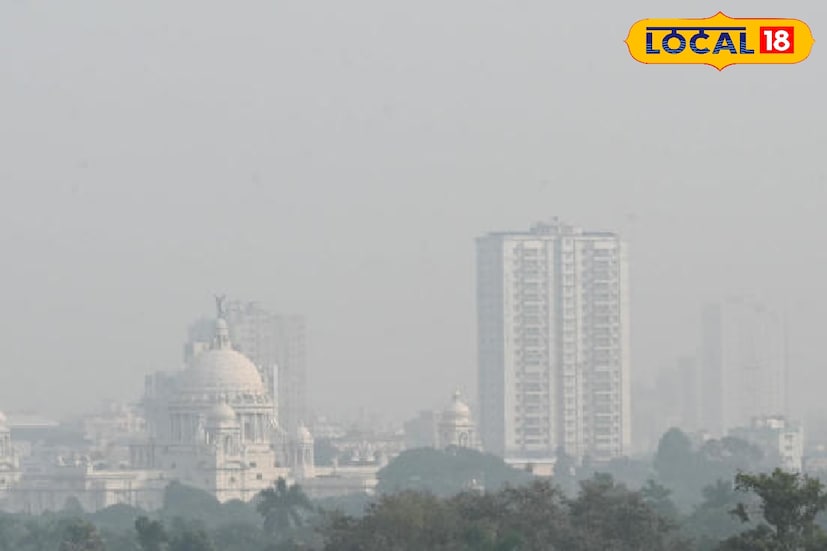 *চিকিৎসকের মতে, সামান্য উপসর্গ দেখা দিলেও অবহেলা না করে দ্রুত চিকিৎসকের পরামর্শ নেওয়াই সুস্থ থাকার একমাত্র পথ। প্রশাসনের তরফ থেকেও ধুলো নিয়ন্ত্রণে কার্যকর ব্যবস্থা নেওয়ার দাবি জানিয়েছেন এলাকার সাধারণ মানুষ।