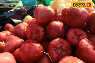 গরম নয়, শীতেই বাজার মাতাচ্ছে লাল জামরুল! কিনতে উপচে পড়া ভিড় বাজারে