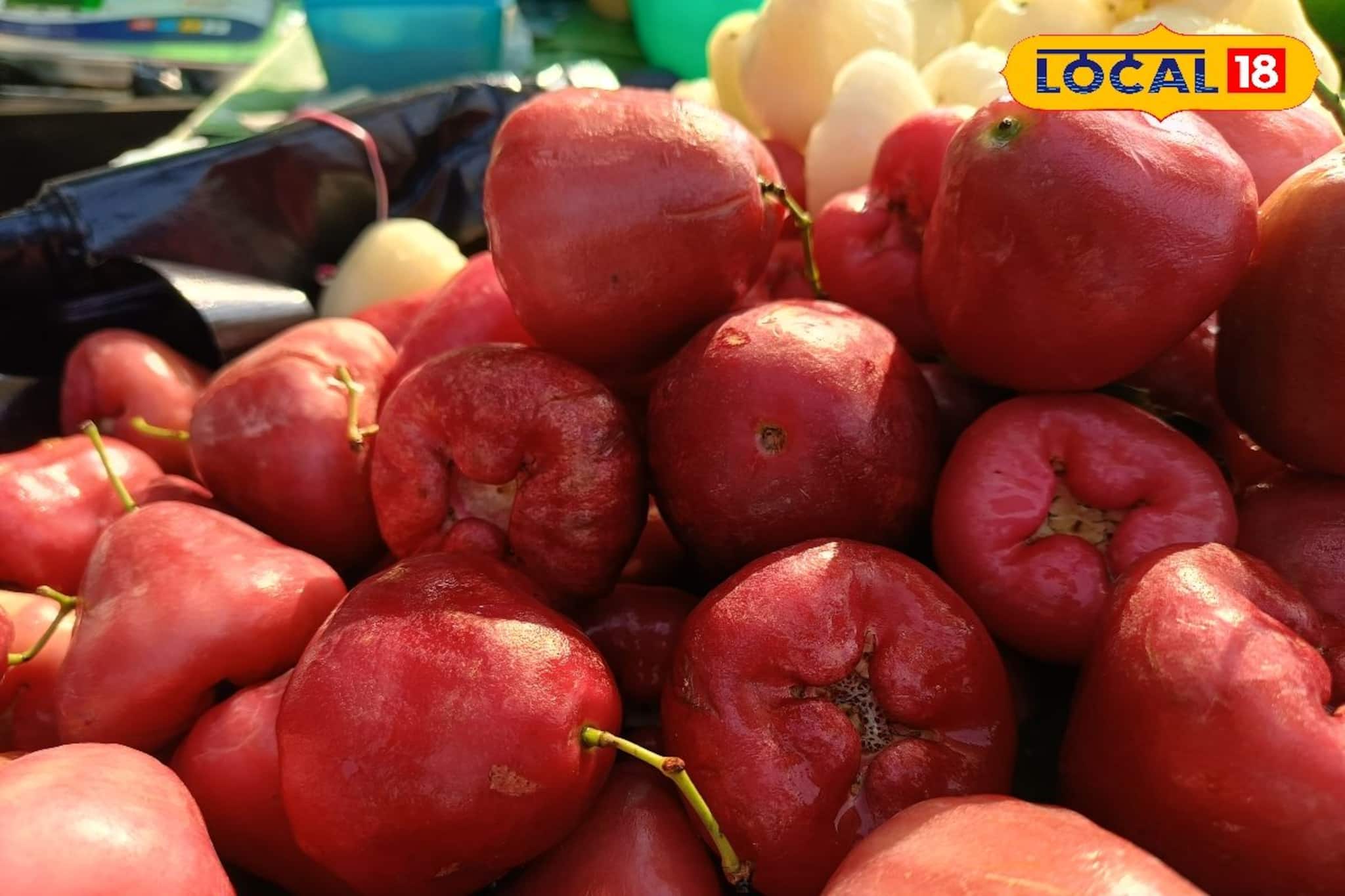 গরম নয়, শীতেই বাজার মাতাচ্ছে লাল জামরুল! কিনতে উপচে পড়া ভিড় বাজারে গরম নয়, শীতেই বাজার মাতাচ্ছে লাল জামরুল! কিনতে উপচে পড়া ভিড় বাজারে