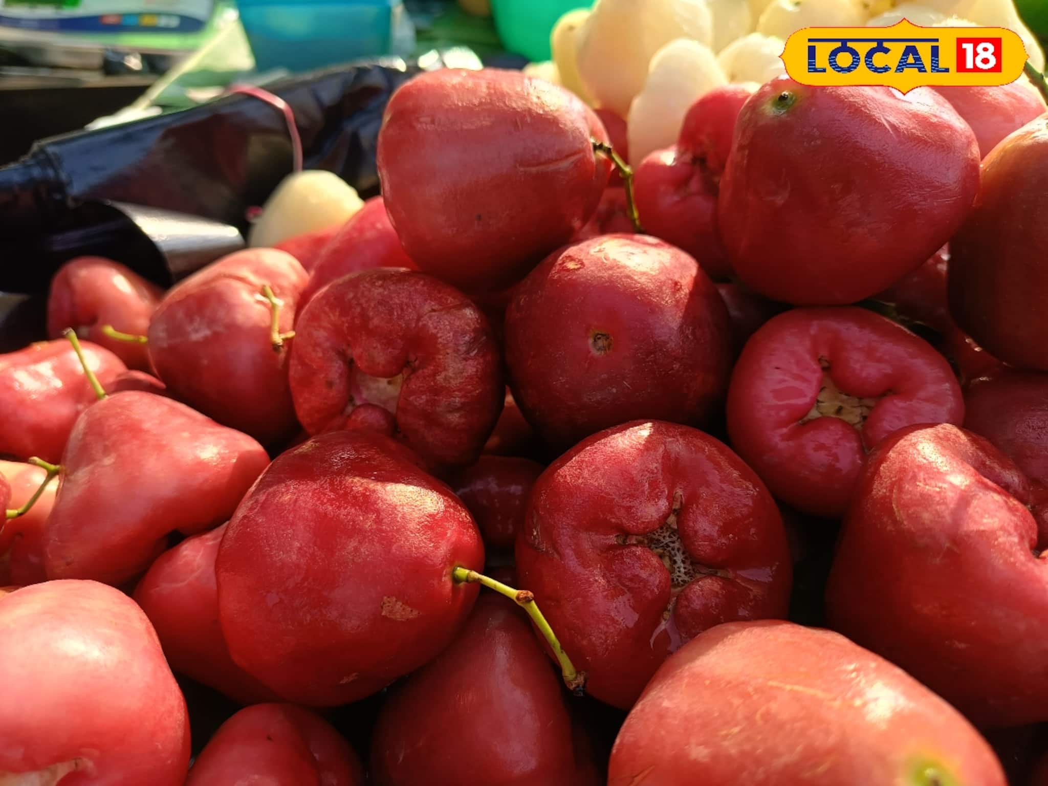 গরম নয়, শীতেই বাজার মাতাচ্ছে লাল জামরুল! কিনতে উপচে পড়া ভিড় বাজারে গরম নয়, শীতেই বাজার মাতাচ্ছে লাল জামরুল! কিনতে উপচে পড়া ভিড় বাজারে