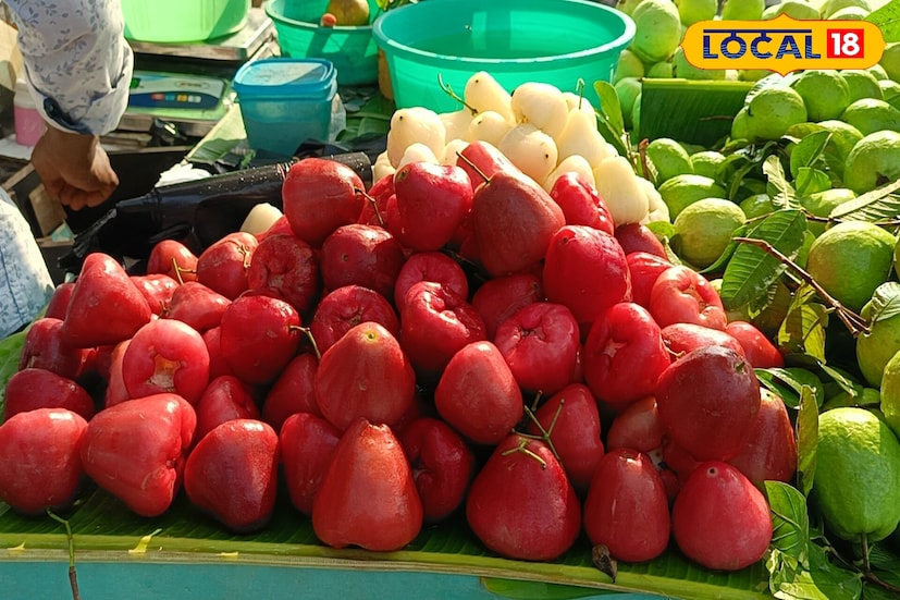 সাদা জামরুলের তুলনায় লাল জাতের জামরুলের জনপ্রিয়তা অনেকটাই বেশি। স্বাদে মিষ্টতা বেশি হওয়ার পাশাপাশি এর রঙ ও আকার বড় হওয়ায় ক্রেতারা লাল জামরুলের দিকেই বেশি ঝুঁকছেন। ফল ব্যবসায়ীদের কথায়, লাল জামরুল উঠলেই বিক্রি দ্রুত হয়ে যায়।