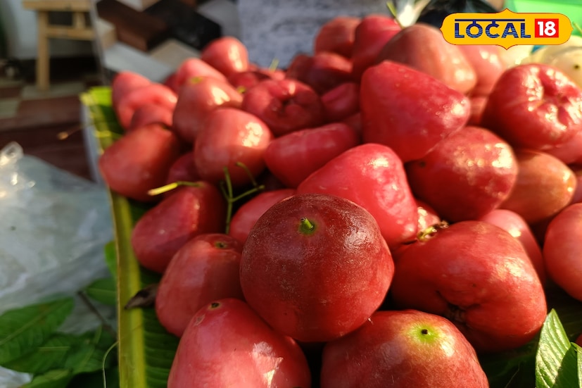 চিকিৎসকদের মতে, নিয়মিত জামরুল খেলে হজমশক্তি ভাল থাকে এবং রোগ প্রতিরোধ ক্ষমতা বাড়ে। তাই স্বাদ ও স্বাস্থ্যের দিক থেকে লাল জামরুল এই মরসুমে বাজারে অন্যতম জনপ্রিয় ফল হিসেবে নিজের জায়গা করে নিয়েছে।