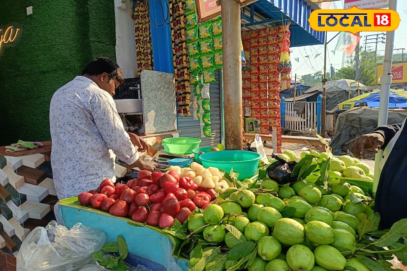 উত্তর ২৪ পরগণা জেলার বসিরহাট মহকুমার মালঞ্চ বাজারে বর্তমানে থাই প্রজাতির লাল জামরুল বিক্রি হচ্ছে কেজি প্রতি প্রায় ২০০ টাকা দরে। প্রতিদিন সকাল থেকেই বাজারে এই ফল কিনতে ভিড় জমাচ্ছেন সাধারণ মানুষ। বিশেষ করে গৃহিণী ও ফলপ্রেমীদের মধ্যে চাহিদা বেশি।