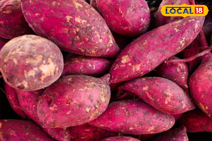 রাঙা আলু: শীতকালে সহজেই মিলবে রাঙা আলু। এই আলুকে মাইক্রোওয়েভে বেক করে নিন। এর পর মাখন, চিজ, নুন ও গোলমরিচের গুঁড়ো দিয়ে মেখে নিন। এই ম্যাশড পট্যাটো সন্ধেবেলার জলখাবার হতে পারে। এমনকী রাঙা আলু দিয়ে ফ্রেঞ্চ ফ্রাই বানিয়েও খেতে পারেন।