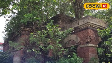 আগাছায়