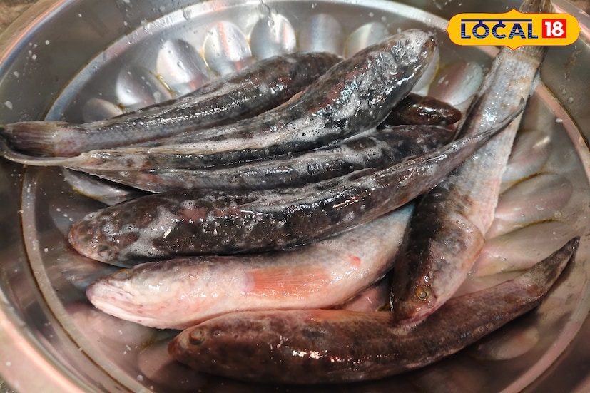 *জ্যান্ত মাছের এই রান্না মুখে জল আনবেই! কীভাবে করবেন? বাজার থেকে সাঠি মাছ কিনে আনার পর যদি মাছ জ্যান্ত থাকে, তবে প্রথমে হালকা লবণ দিয়ে ঢেকে কিছুক্ষণ রেখে দিতে হয়। এরপর ভাল করে মাছ পরিষ্কার করে নিতে হবে।