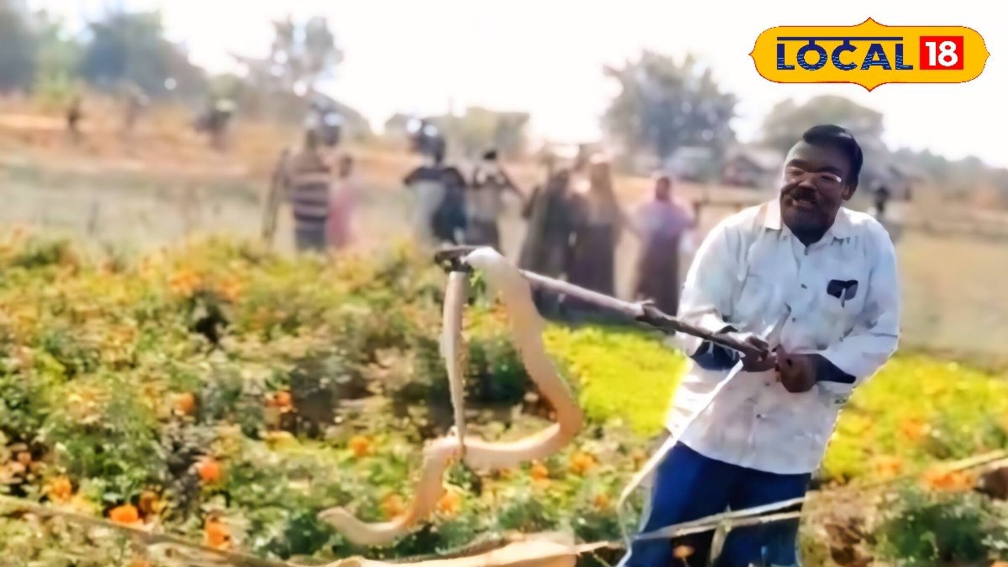 সাংঘাতিক! শীতের সকালে ফুলের বাগানে ফণা তুলল বিষধর গোখরো, পিলে চমকে গেল গ্রামবাসীদের