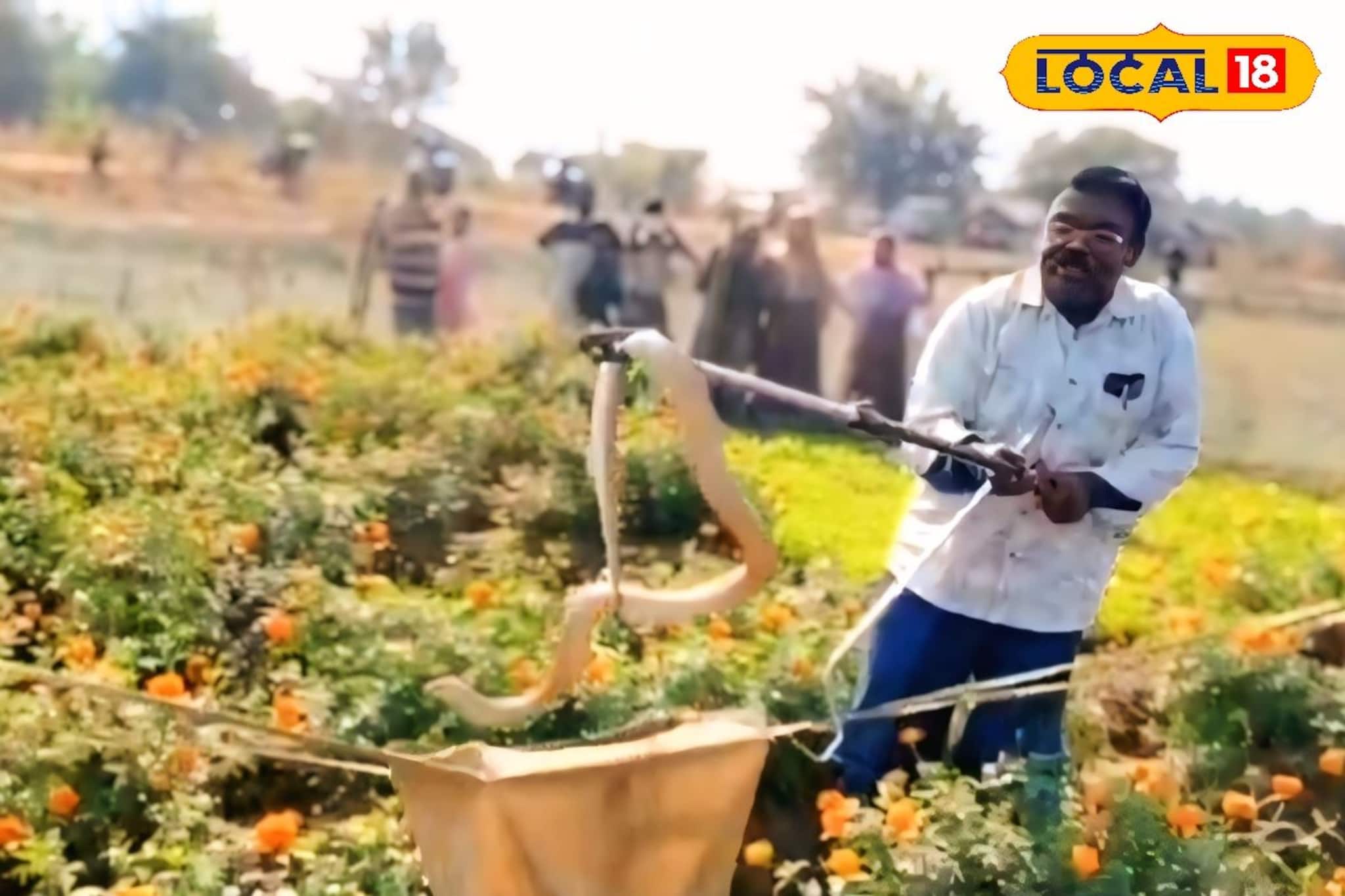 সাংঘাতিক! শীতের সকালে ফুলের বাগানে ফণা তুলল বিষধর গোখরো, পিলে চমকে গেল গ্রামবাসীদের সাংঘাতিক! শীতের সকালে ফুলের বাগানে ফণা তুলল বিষধর গোখরো, পিলে চমকে গেল গ্রামবাসীদের