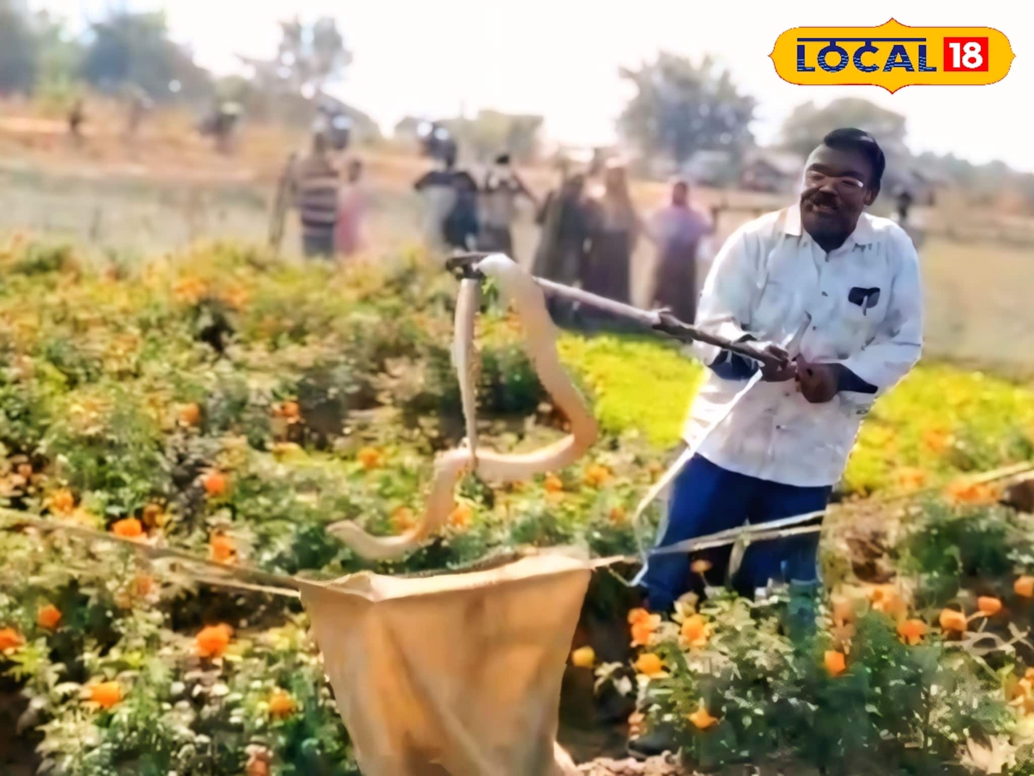 সাংঘাতিক! শীতের সকালে ফুলের বাগানে ফণা তুলল বিষধর গোখরো, পিলে চমকে গেল গ্রামবাসীদের সাংঘাতিক! শীতের সকালে ফুলের বাগানে ফণা তুলল বিষধর গোখরো, পিলে চমকে গেল গ্রামবাসীদের