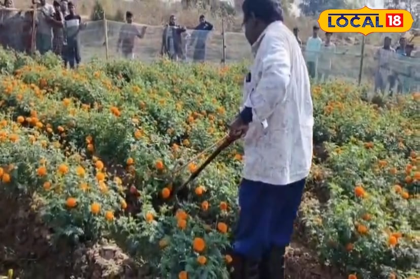 গরমকালে সাপ দিবানিদ্রায় থাকে, আর শীতে গর্ত বা ফাটলে আশ্রয় নেয়। বেলা বাড়লে রোদ পোহাতে বের হয় তারা। প্রচণ্ড শীত বা অতিরিক্ত গরমে কিছু সাপ মারা যায়। অজগর ও চন্দ্রবোড়া শীতকে পাত্তা দেয় না এবং শীতকালই চন্দ্রবোড়া সাপের প্রজনন ঋতু। তাই এই সময় সাপের দেখা বেশি পাওয়া যায়।