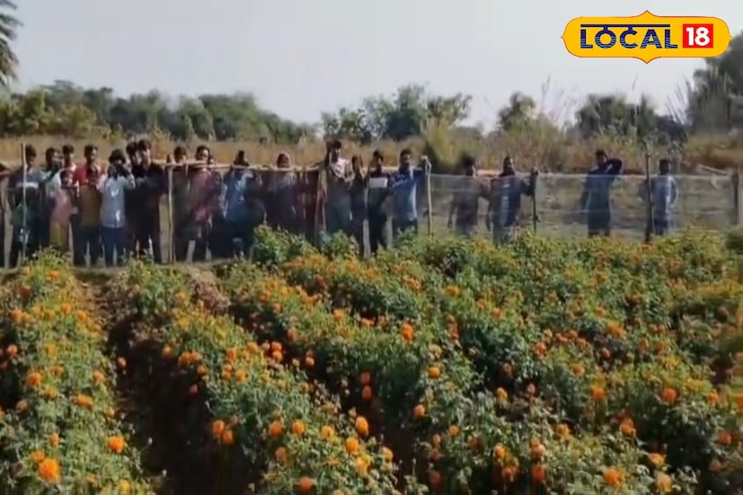 শীতকালে একের পর এক সাপ উদ্ধারের ঘটনায় মানুষের মনে প্রশ্ন উঠছে, শীতে কেন এত সাপ দেখা যাচ্ছে? এই বিষয়ে দীনবন্ধু বিশ্বাস জানান, সাপ শীতঘুম দেয় না। তারা শীতল রক্তের প্রাণী হওয়ায় অতিরিক্ত ঠান্ডা বা অতিরিক্ত গরম সহ্য করতে পারে না।