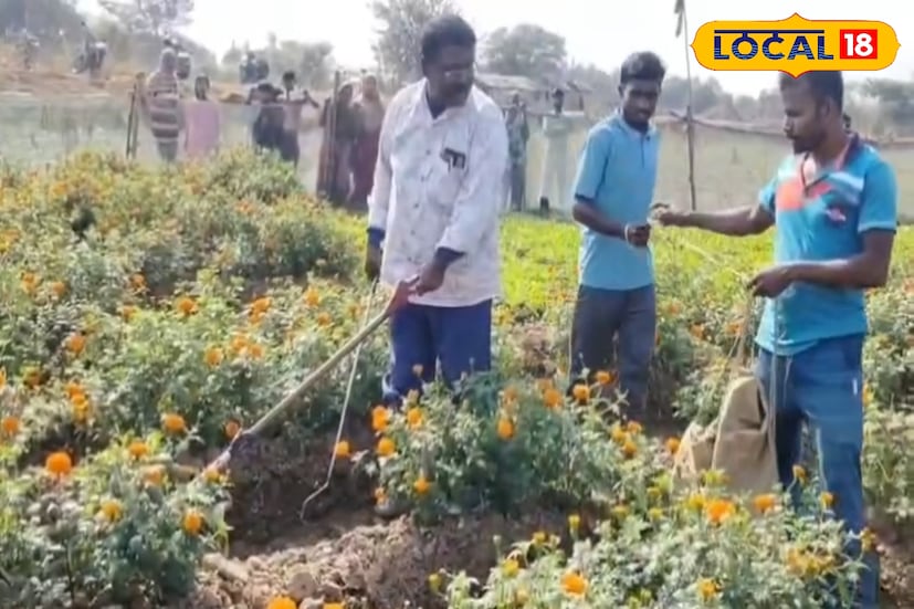 খবর পেয়ে ঘটনাস্থলে পৌঁছন ভারতের বন্যপ্রাণ দুর্নীতি দমন শাখার সদস্য ও সর্পবিশেষজ্ঞ দীনবন্ধু বিশ্বাস। তাঁর দক্ষতায় নিরাপদে উদ্ধার করা হয় ওই বিষধর গোখরো সাপটিকে।