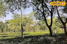 Tea Garden Jobs for Women: শুধু পুরুষ নয়, এবার চা বাগান চালাবেন মহিলা ম্যানেজার! বাংলার কলেজে শুরু হল মহিলাদের জন্য টি ম্যানেজমেন্ট কোর্স