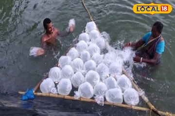 উচ্চমাধ্যমিকের পর একটি বিষয় নিয়ে পড়াশুনা মোড় ঘুরিয়ে দিতে পারে পড়ুয়াদের জীবনে উচ্চমাধ্যমিকের পর একটি বিষয় নিয়ে পড়াশুনা মোড় ঘুরিয়ে দিতে পারে পড়ুয়াদের জীবনে