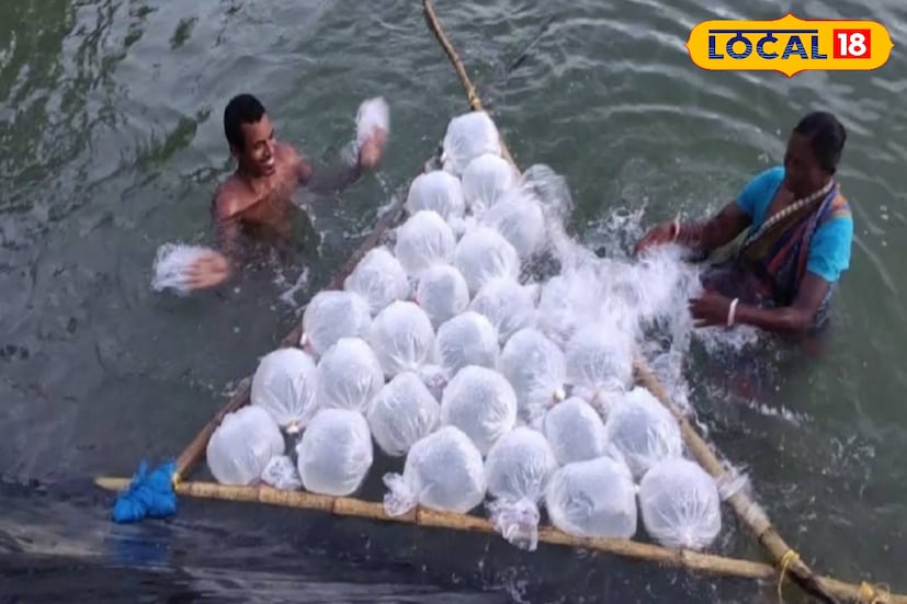 ইন্ডাস্ট্রিয়াল ফিস অ্যান্ড ফিসারিজ নিয়ে পড়ে পেতে পারেন কাজের বিশাল সুযোগ। সাধারণত বেশির ভাগ শিক্ষার্থী উচ্চমাধ্যমিকের পর বেছে নেন বিশেষ কোনও বিষয়ের উপর অনার্স-সহ ব্যাচেলার ডিগ্রিকে। কিন্তু এই বিষয়টি নিলে ভবিষ্যতে কাজের নিশ্চিত সুযোগ থাকছে। (ছবি ও তথ্য: নবাব মল্লিক) ইন্ডাস্ট্রিয়াল ফিস অ্যান্ড ফিসারিজ নিয়ে পড়ে পেতে পারেন কাজের বিশাল সুযোগ। সাধারণত বেশির ভাগ শিক্ষার্থী উচ্চমাধ্যমিকের পর বেছে নেন বিশেষ কোনও বিষয়ের উপর অনার্স-সহ ব্যাচেলার ডিগ্রিকে। কিন্তু এই বিষয়টি নিলে ভবিষ্যতে কাজের নিশ্চিত সুযোগ থাকছে। (ছবি ও তথ্য: নবাব মল্লিক)