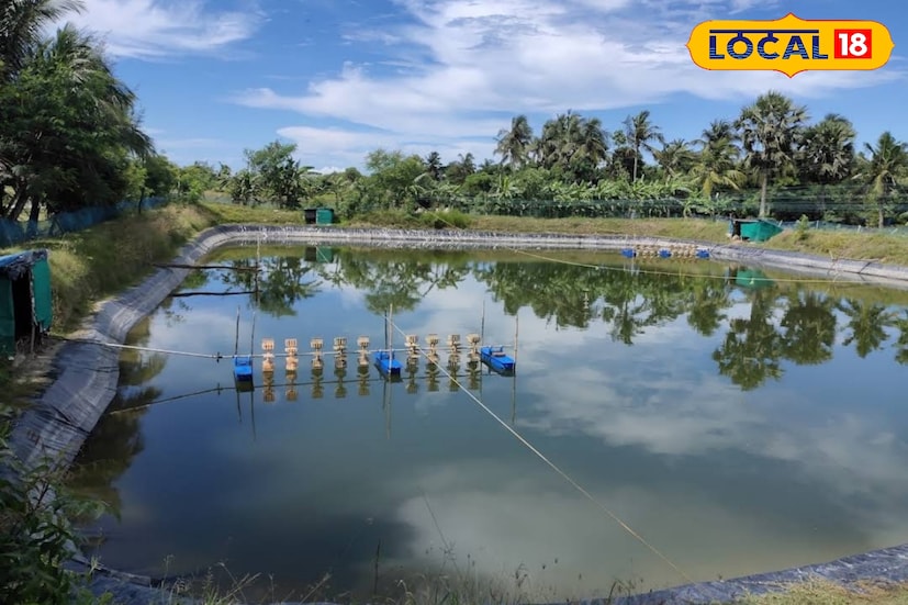 ইন্ডাস্ট্রিয়াল ফিস অ্যান্ড ফিশারিজ বিষয়টি হল মাছ ধরা, চাষ, প্রক্রিয়াকরণ, সংরক্ষণ, পরিবহন এবং বাজারজাতকরণের মতো বাণিজ্যিক মৎস্য কার্যক্রম ও এর সঙ্গে সম্পর্কিত বিষয়। তবে এটি মৎস্যবিজ্ঞান বিষয়ের থেকে আলাদা।
