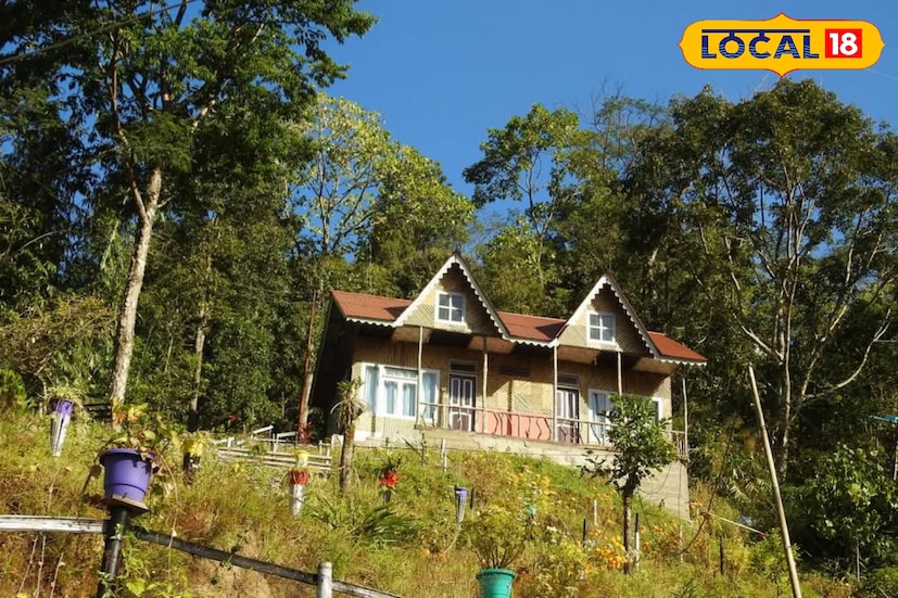 *দার্জিলিং: শীত পড়তেই বেড়ানোর পরিকল্পনা শুরু করেন অনেকেই। ভিড় এড়িয়ে যদি নিরিবিলি পাহাড়ি গ্রামে কিছুটা সময় কাটাতে চান, তবে দার্জিলিং জেলার থাপাগাঁও হতে পারে আদর্শ গন্তব্য। বিজনবাড়ির অদূরে অবস্থিত এই গ্রাম পাহাড়ের কোলে শান্ত পরিবেশ, খোলা প্রকৃতি আর ধীর গতির জীবনের স্বাদ এনে দেয়। ব্যস্ত শহরজীবন থেকে দূরে সরে শীতের ছুটিতে একটু স্বস্তি পেতেই এখন পর্যটকদের নজরে আসছে থাপাগাঁও। *দার্জিলিং: শীত পড়তেই বেড়ানোর পরিকল্পনা শুরু করেন অনেকেই। ভিড় এড়িয়ে যদি নিরিবিলি পাহাড়ি গ্রামে কিছুটা সময় কাটাতে চান, তবে দার্জিলিং জেলার থাপাগাঁও হতে পারে আদর্শ গন্তব্য। বিজনবাড়ির অদূরে অবস্থিত এই গ্রাম পাহাড়ের কোলে শান্ত পরিবেশ, খোলা প্রকৃতি আর ধীর গতির জীবনের স্বাদ এনে দেয়। ব্যস্ত শহরজীবন থেকে দূরে সরে শীতের ছুটিতে একটু স্বস্তি পেতেই এখন পর্যটকদের নজরে আসছে থাপাগাঁও।