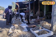 Jalpaiguri News: নোনা ইলিশ-পুঁটি-ভোলা-চিংড়ি, আপনার কোনটা চাই? এ যেন শুটকির স্বর্গ! সকাল থেকে সন্ধ্যা উপচে পড়ে ভিড়