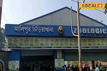 Alipore Zoo: শীতে আলিপুর চিড়িয়াখানায় ঘুরতে যাওয়ার প্ল্যান? হাওড়া থেকেই কাটা যাবে টিকিট, আরও কোন ৪ জায়গা থেকে পাওয়া যাবে, জানুন