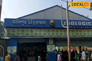 শীতে আলিপুর চিড়িয়াখানায় ঘুরতে যাওয়ার প্ল্যান? হাওড়া-সহ আরও ৪ থেকে কাটা যাবে টিকিট