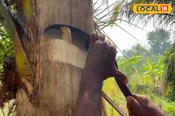প্রোটিন, মিনারেলে ভরপুর খেজুরের রস প্রাকৃতিক 'এনার্জি ড্রিংক', কিন্তু কীভাবে খেলে উপকার? প্রোটিন, মিনারেলে ভরপুর খেজুরের রস প্রাকৃতিক 'এনার্জি ড্রিংক', কিন্তু কীভাবে খেলে উপকার?