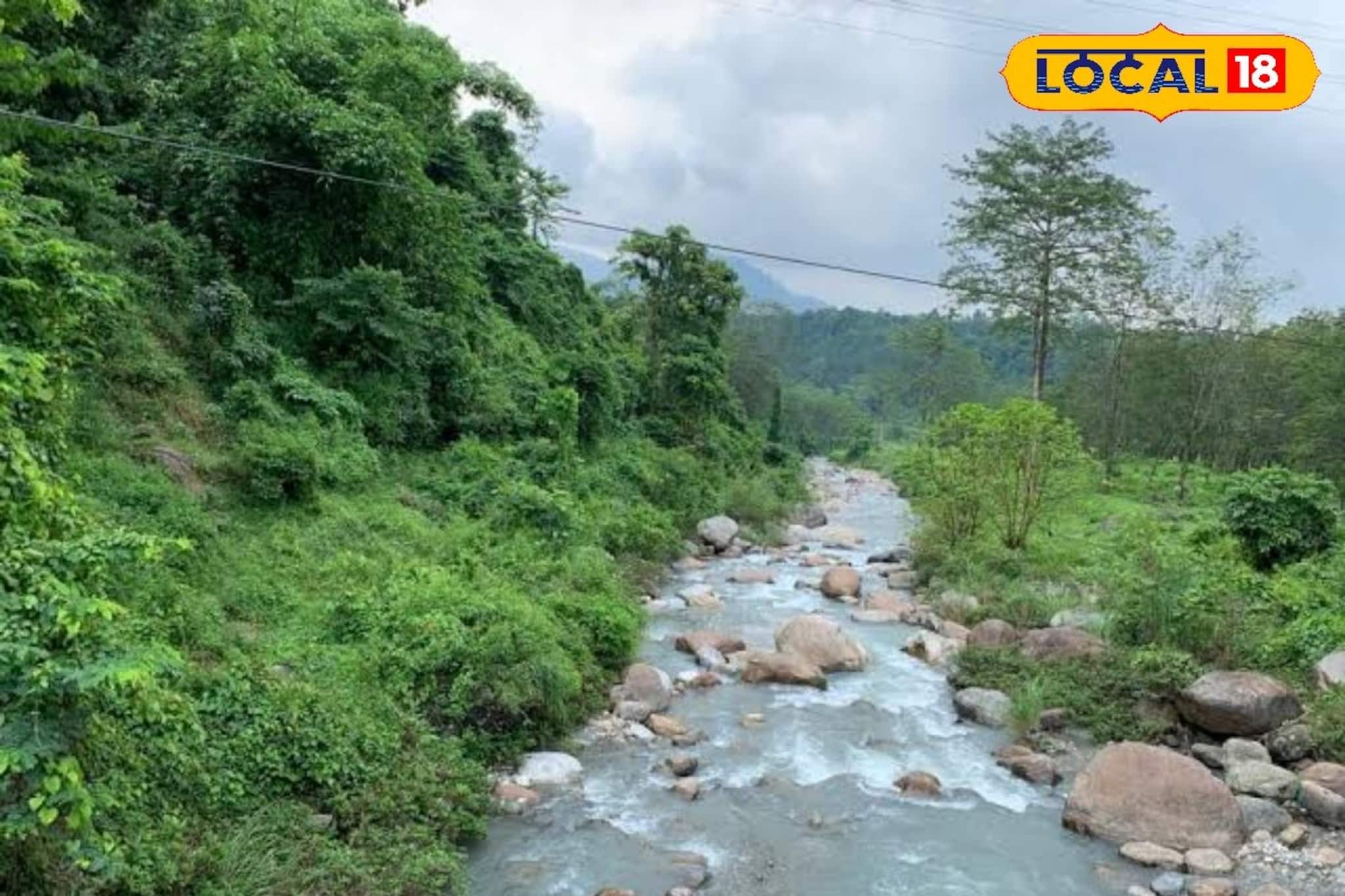 ডুয়ার্সের বেস্ট ৫ পিকনিক স্পট চিনে নিন, বড়দিনে পাহাড়-তড়াইয়ের অফবিট জায়গায় বাড়ছে ভিড়