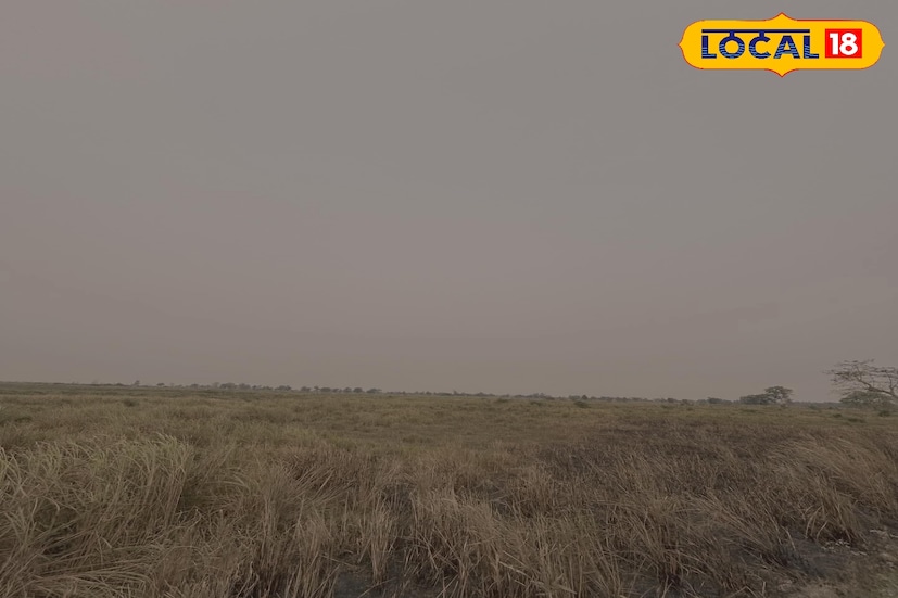 আলিপুরদুয়ার, অনন্যা দে : উত্তরবঙ্গে শীতের ছোঁয়ায় বদলাচ্ছে আবহাওয়া। উত্তরের হিমেল হওয়ার প্রভাবে শীতের চাদরে ঢেকেছে উত্তরবঙ্গ। দেখে নেওয়া যাক আগামী ২৪ ঘন্টায় আবহাওয়ার আপডেট।