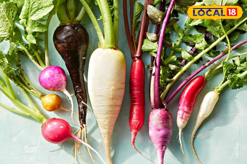 মুলো সেদ্ধ হলে গোটা পাড়া সে খবর জেনে যায়। এমনই তার গন্ধ, থুড়ি দুর্গন্ধ! তবে মুলো বলেই তার সবটা খারাপ নয়। পুষ্টিবিদেরা বলছেন, শীতে এই আনাজ খাওয়ার অনেক উপকারও রয়েছে। মুলো সেদ্ধ হলে গোটা পাড়া সে খবর জেনে যায়। এমনই তার গন্ধ, থুড়ি দুর্গন্ধ! তবে মুলো বলেই তার সবটা খারাপ নয়। পুষ্টিবিদেরা বলছেন, শীতে এই আনাজ খাওয়ার অনেক উপকারও রয়েছে।