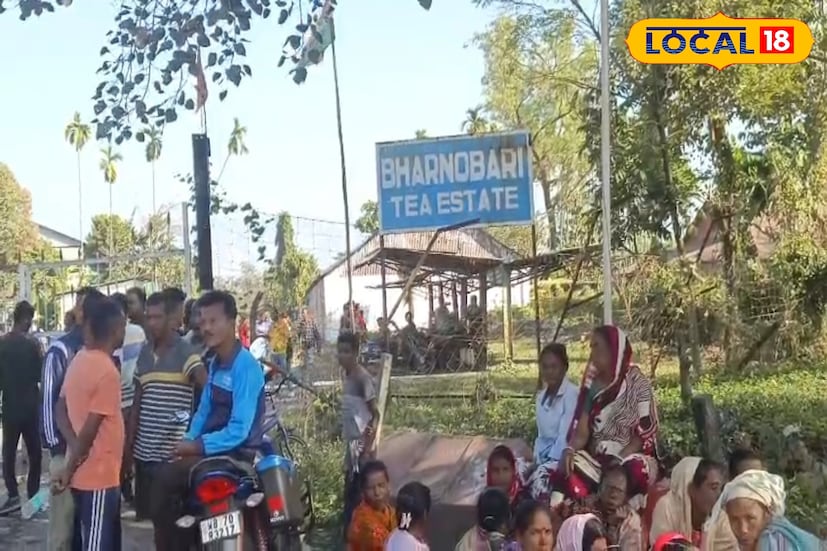 বেতনের নামে শুধু তারিখের পর তারিখ, আশ্বাস মিললেও মিলছে না প্রাপ্য মজুরি। এর প্রতিবাদ জানালেই মালিকপক্ষ বন্ধ করে চলে যাচ্ছে চা বাগান। বুধবার বন্ধ হয়ে গেল ভার্ণাবাড়ি চা বাগান। কালচিনি ব্লকে এই নিয়ে ৩টি চা বাগান বন্ধ হল। (ছবি ও তথ্যঃ অনন্যা দে) বেতনের নামে শুধু তারিখের পর তারিখ, আশ্বাস মিললেও মিলছে না প্রাপ্য মজুরি। এর প্রতিবাদ জানালেই মালিকপক্ষ বন্ধ করে চলে যাচ্ছে চা বাগান। বুধবার বন্ধ হয়ে গেল ভার্ণাবাড়ি চা বাগান। কালচিনি ব্লকে এই নিয়ে ৩টি চা বাগান বন্ধ হল। (ছবি ও তথ্যঃ অনন্যা দে)