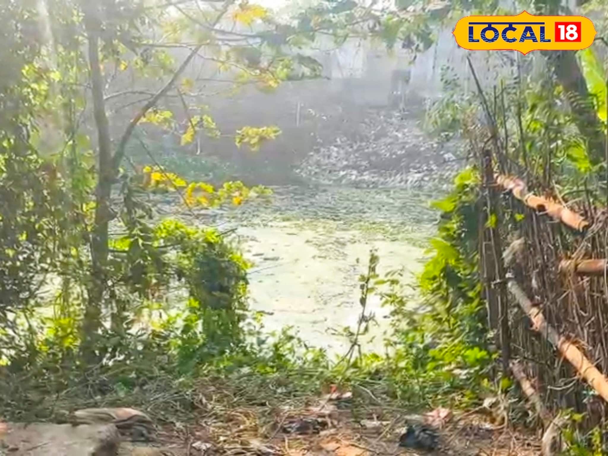 ১২ ঘণ্টা নিখোঁজ ছিল আড়াই বছরের শিশু, বাড়ির কাছেই যেভাবে পাওয়া গেল...! মর্মান্তিক ঘটনা