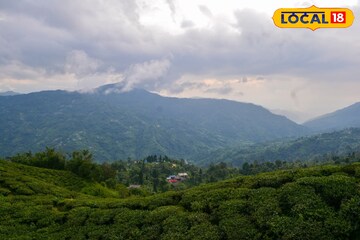 শীতের হাওয়ায় লাগল নাচন! ঘিরে ধরছে কুয়াশাও, ঠান্ডা বাড়ছে কোন কোন জেলায়? আবহাওয়ার আপডেট