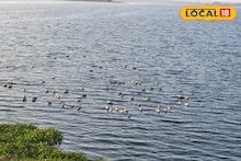 Birbhum News: হাজার মাইল পাড়ি, তবু দেরি কেন? নীলনির্জন জলাশয়ে পরিযায়ী পাখির আগমন নিয়ে জল্পনা