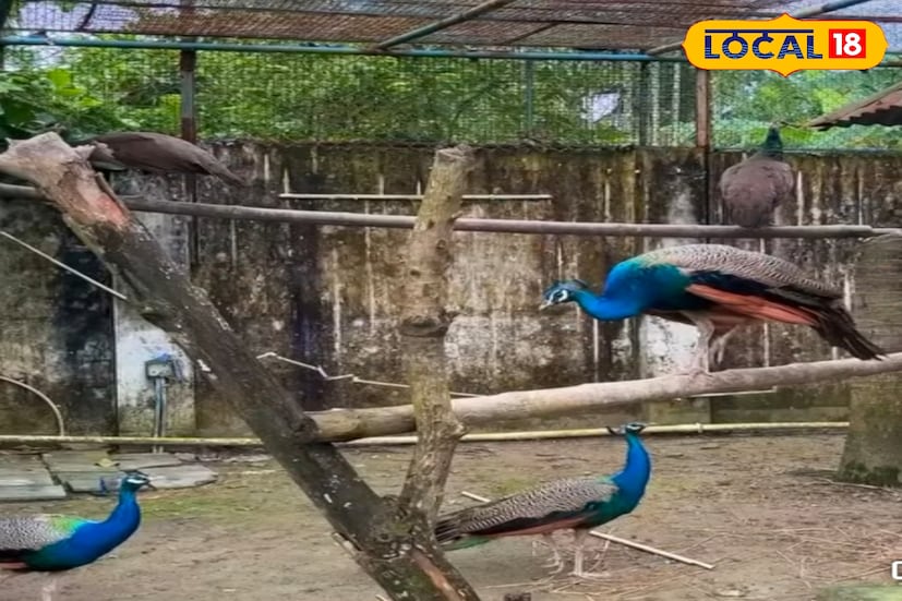 শীতকাল মানে একটু বেরু বেরু মনোভাব থাকে ছোট থেকে বড় সবার মধ্যে কারন শীতকাল বিভিন্ন জায়গায় ঘুরতে যাওয়া থেকে শুরু করে খাওয়া দাওয়া এর একটা আলাদা অনুভূতি। তাই মানুষ শীতকালটাকেই বেশি পছন্দ করে। ঘুরতে যাওয়ার জন্য। (তথ্য ছবি সুমন সাহা)