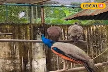 Baruipur Zoo: Alipore Zoo-তে ভিড়? ঘুরে আসুন শহরের এই চিড়িয়াখানা থেকে! মাত্র দশ টাকার টিকিটই দেদার আনন্দ