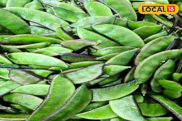 ডায়মন্ডেই মজেছে জেলার চাষিরা! হীরে নয়, বাড়তি লাভের মুখ দেখাচ্ছে এই ফসল