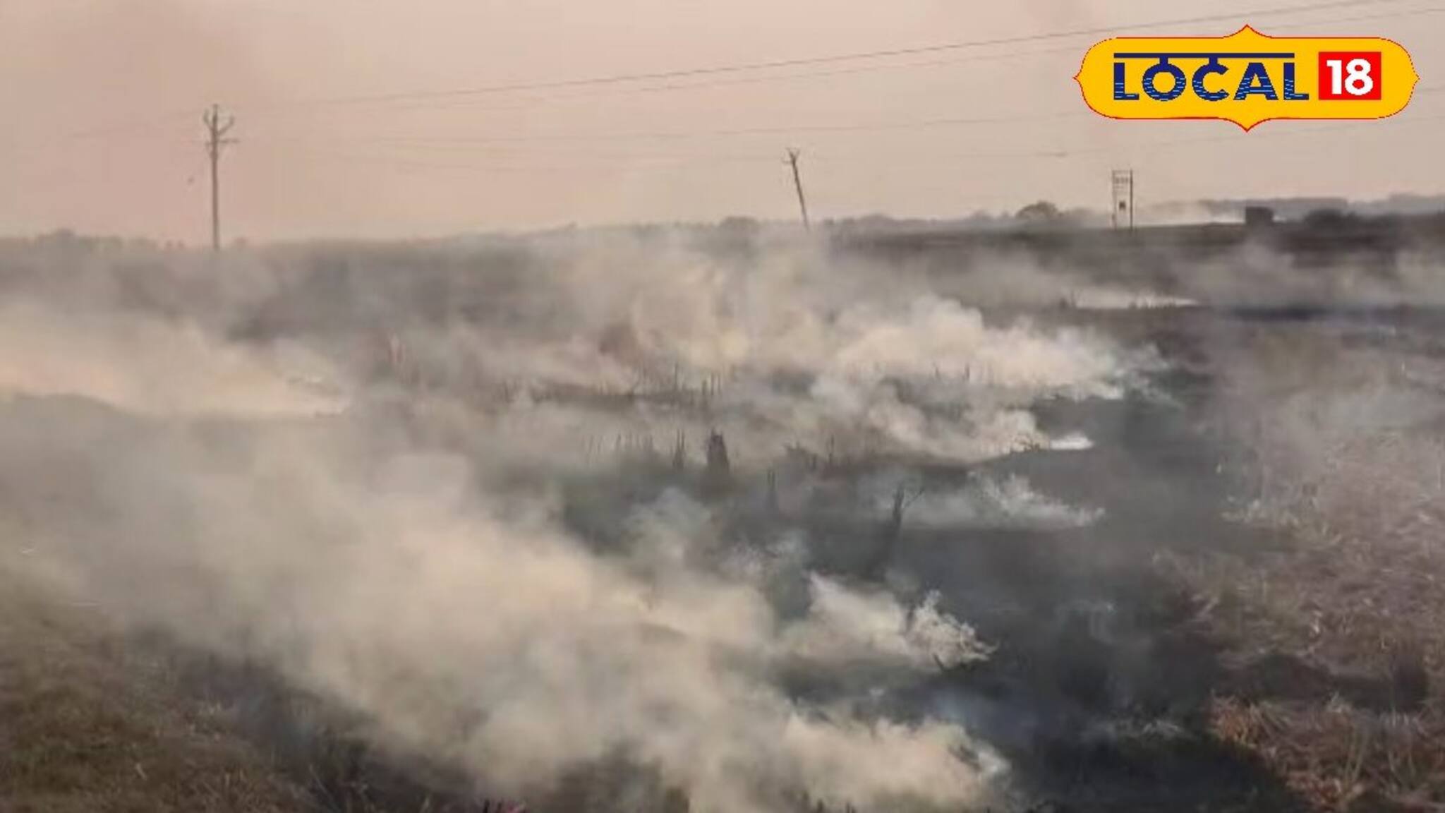 Birbhum News: বিঘের পর বিঘে পুড়ছে দাউদাউ করে! ধানি জমি পরিষ্কারের নামে মৃত্তিকা দূষণ চলছেই বীরভূমে