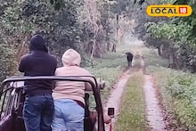 Travel News: বড়দিনের আগেই 'হাউসফুল'! চিলাপাতা জঙ্গলে হচ্ছেটা কী? উপচে পড়েছে পর্যটকদের ভিড়