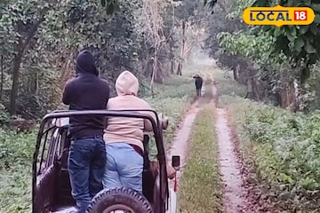 বড়দিনের আগেই 'হাউসফুল'! চিলাপাতা জঙ্গলে হচ্ছেটা কী? উপচে পড়েছে পর্যটকদের ভিড় বড়দিনের আগেই 'হাউসফুল'! চিলাপাতা জঙ্গলে হচ্ছেটা কী? উপচে পড়েছে পর্যটকদের ভিড়