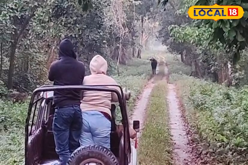 আলিপুরদুয়ার, অনন্যা দে: বড়দিনের আগে পর্যটন কেন্দ্রগুলিতে উপচে পড়েছে পর্যটকদের ভিড়। আলিপুরদুয়ার জেলার পর্যটন কেন্দ্র জলদাপাড়া, চিলাপাতায় দেখা গিয়েছে পর্যটকদের। হোটেল, হোম স্টে-তেও দেখা গিয়েছে ফুল বুকিং। আলিপুরদুয়ার, অনন্যা দে: বড়দিনের আগে পর্যটন কেন্দ্রগুলিতে উপচে পড়েছে পর্যটকদের ভিড়। আলিপুরদুয়ার জেলার পর্যটন কেন্দ্র জলদাপাড়া, চিলাপাতায় দেখা গিয়েছে পর্যটকদের। হোটেল, হোম স্টে-তেও দেখা গিয়েছে ফুল বুকিং।